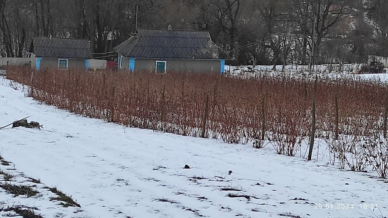 Продам будинок в селі Кам'яногірка