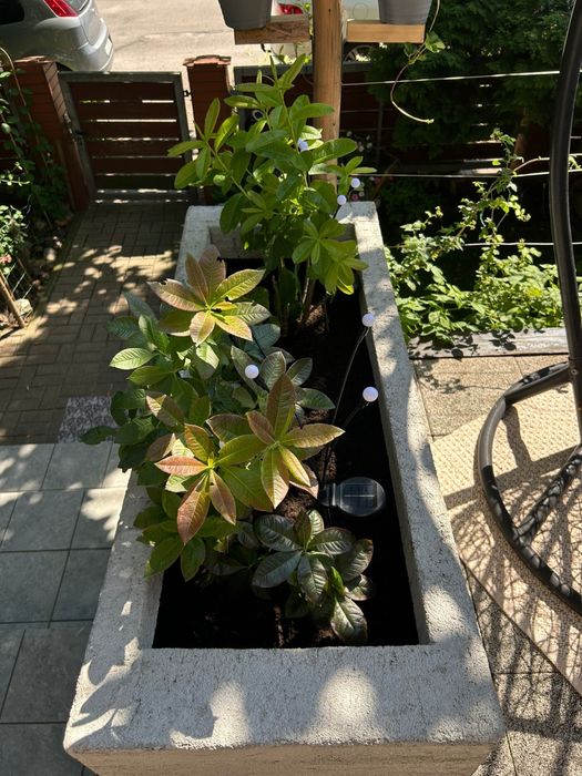 Donice styropianowe ogrodowe beton lub tynk