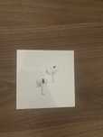 Air pods 2 pro.