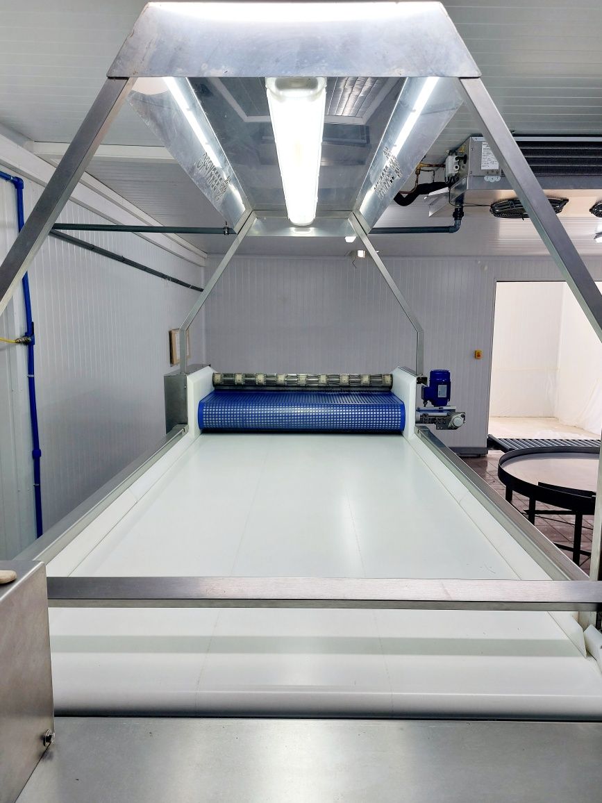 Linha embaladora de mirtilos compacta