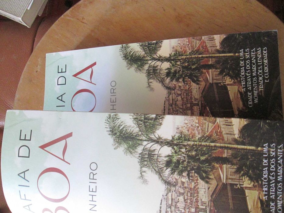 Biografia de Lisboa, de Magda Pinheiro