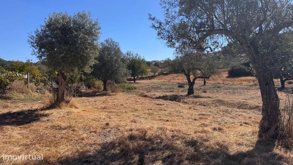 Terreno à venda – 4.360 m² em Aranhas