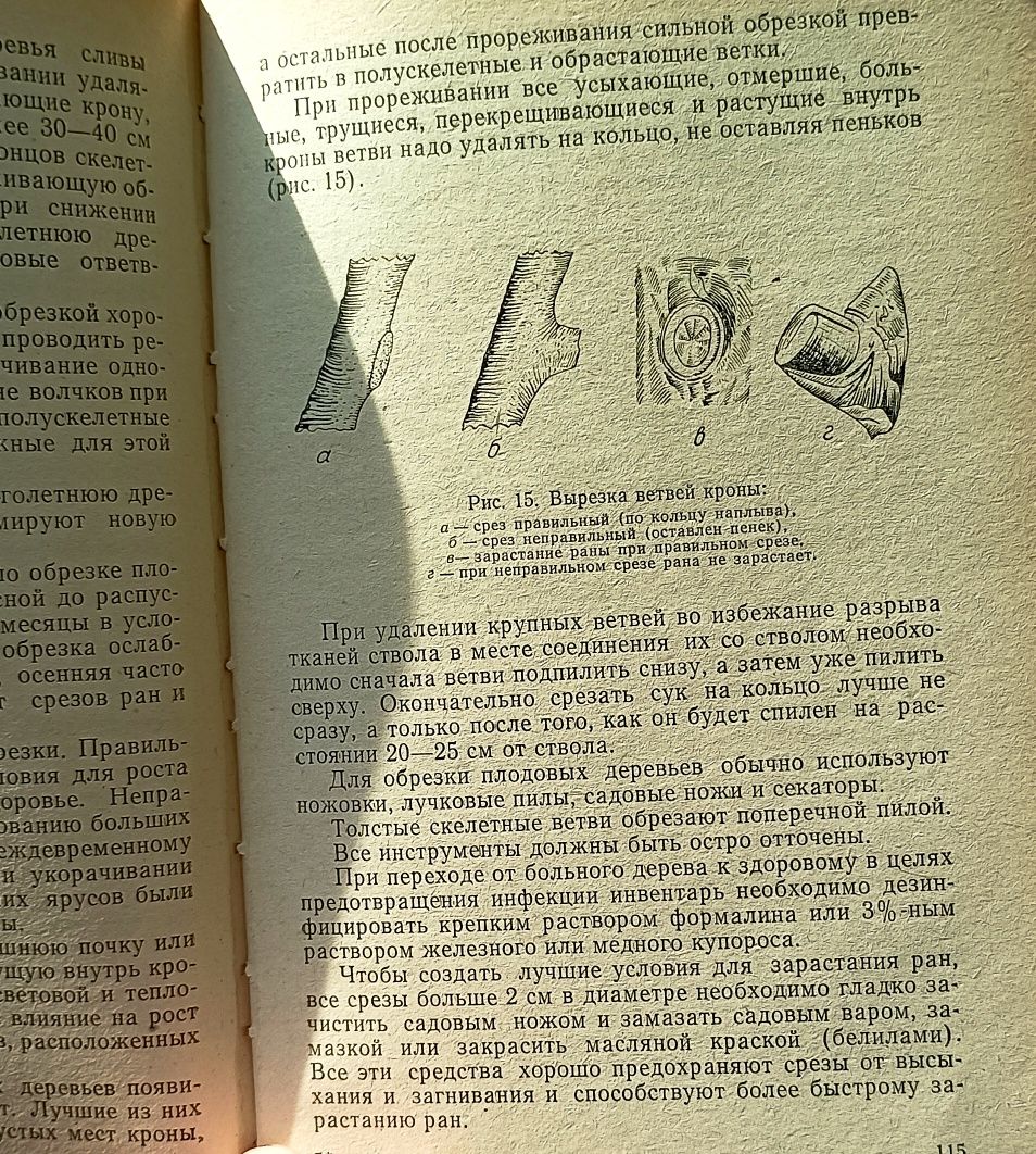 Книга Строительство и ремонт.Плодовый сад