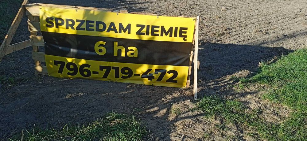 Sprzedam ziemię 6 hektarów powiat ostrzeszowski