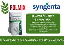 Jęczmień hybrydowy ozimy SY MALIBOO Materiał kwalifikowany