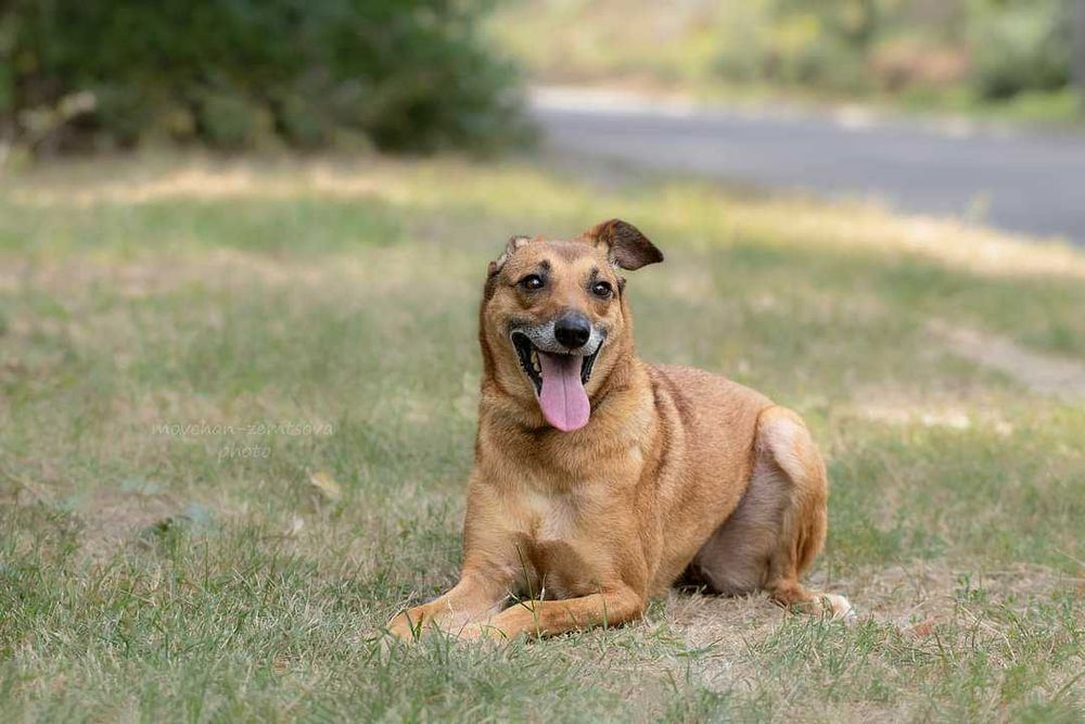 Джесі шукає родину