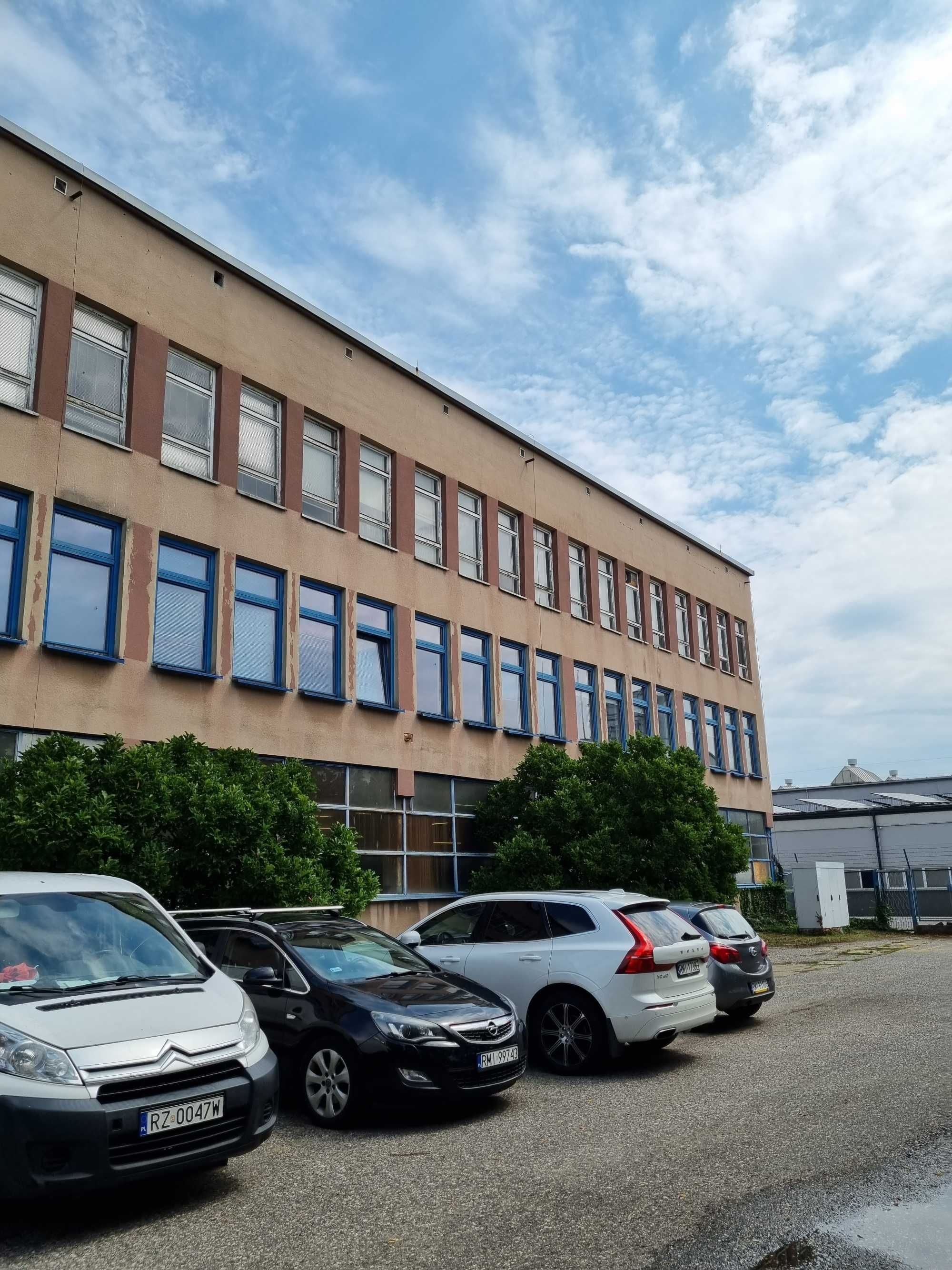 MIELEC Wynajem, Lokale do wynajęcia