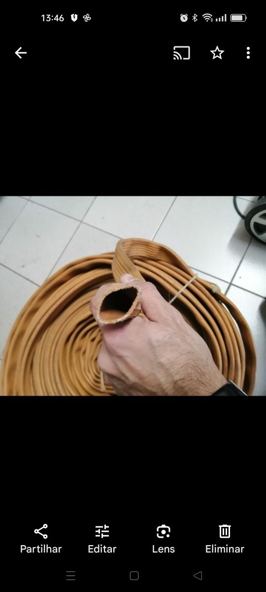 Mangueira uso diverso