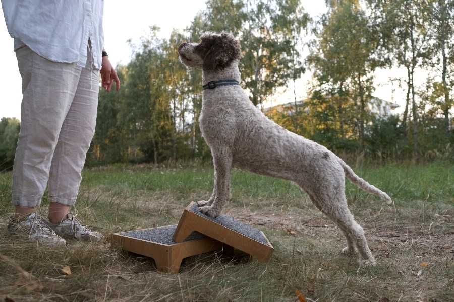 Podest dla psiego fitnessu 30cm x 30cm x 10cm