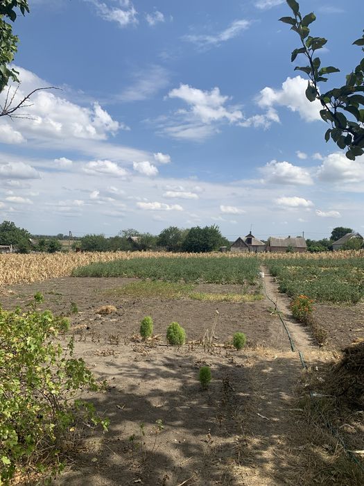 Продаем дом Криворожский район Каменное поле