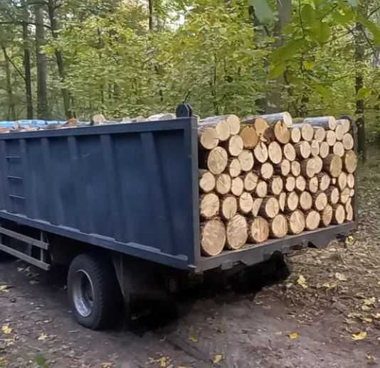 Бесплатная доставка! Купить дрова из ясеня в Одессе и области