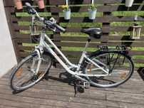 Rower damski trekingowy GIANT CYPRESS W