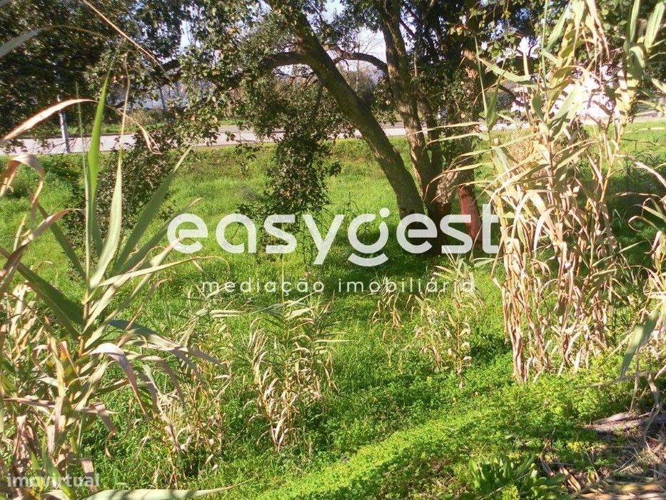 Lote de Terreno Urbano 253m2 para Moradia - Entroncamento