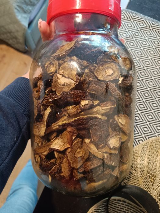 Suszone podgrzybki całe kapelusze