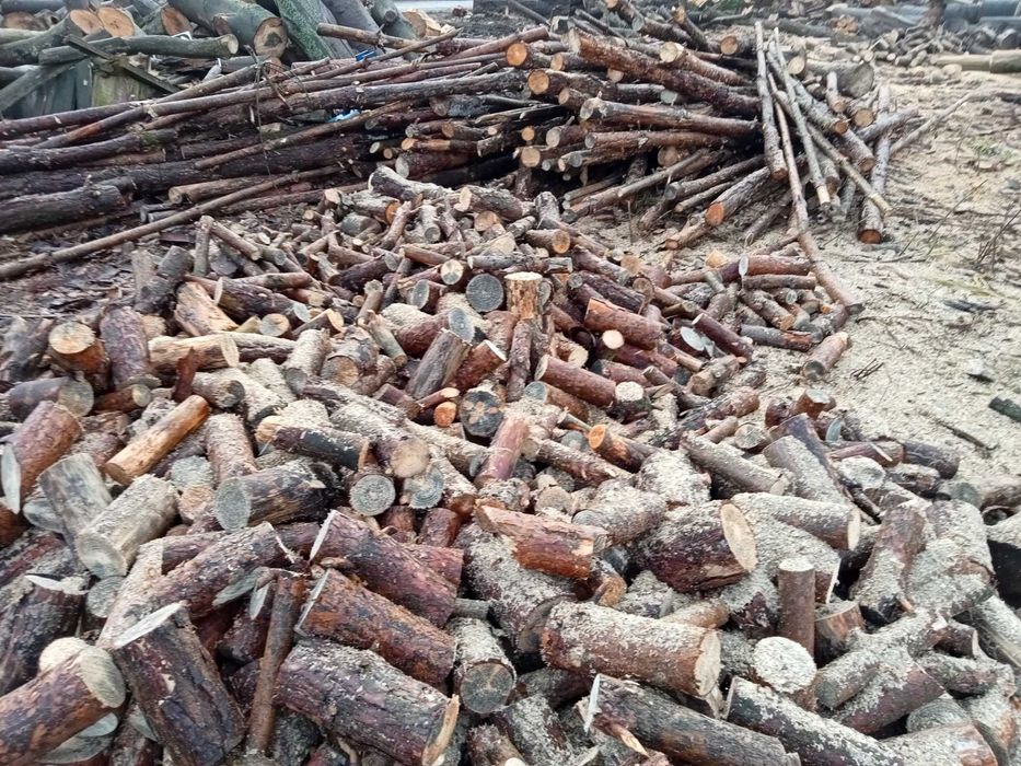 Drewno opałowe opał kominkowe kominek liściaste iglaste Pellet A1