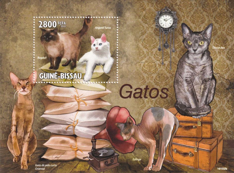 Gwinea Bissau 2010 cena 5,90 zł kat.7€ - koty