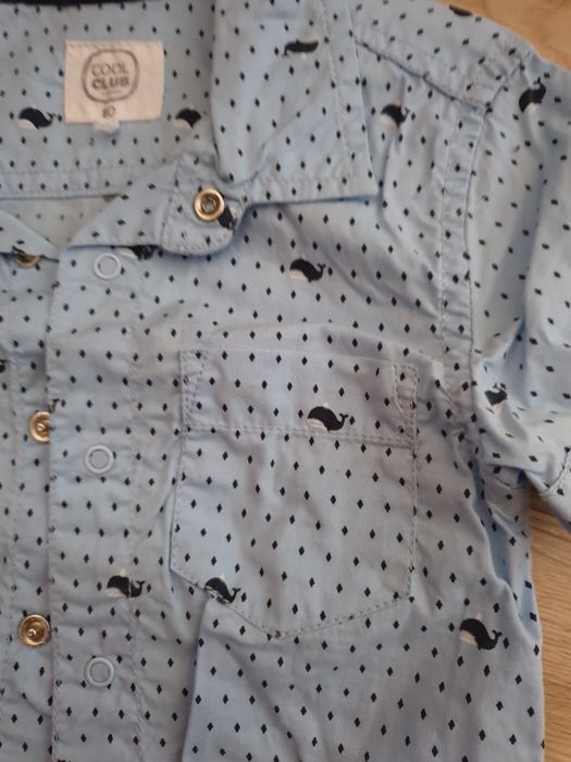 Koszulobody Cool Club Smyk r.80 niebieskie