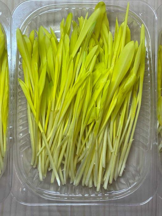 Мікрозелень в наявності! (більше 20 культур)