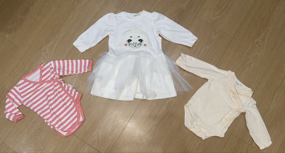 Cocodrillo body kopertowe i sukienka