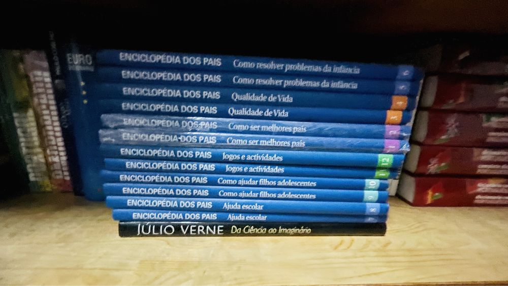 Livros diversos + dicionários