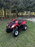 Quad kymco mxu 250