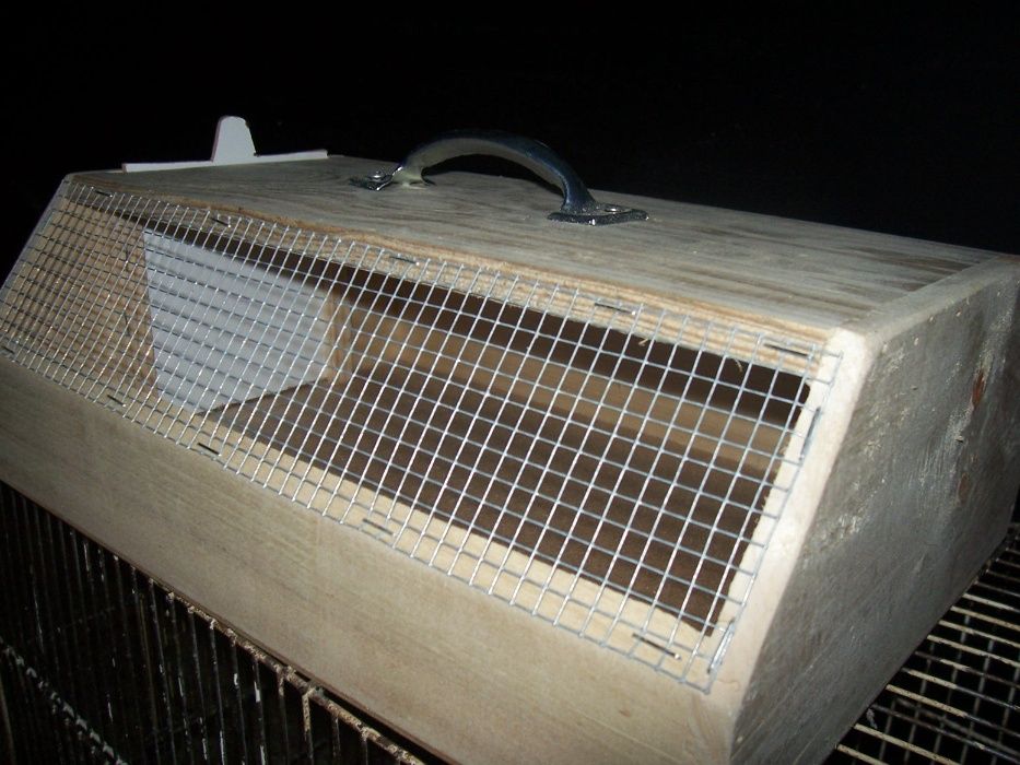 Transportadora de animais domésticos simples