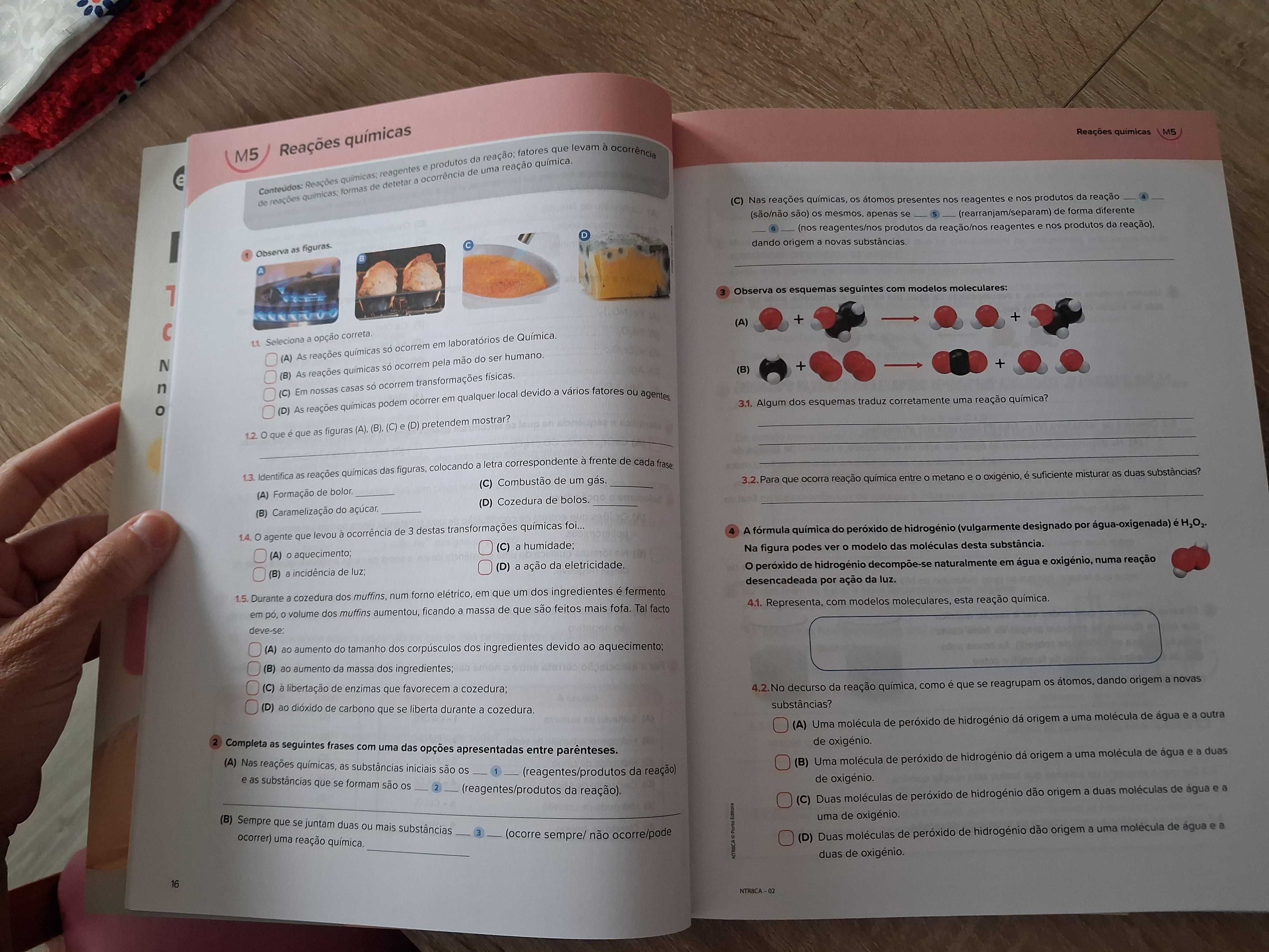 Caderno de Atividades Neutrão 8