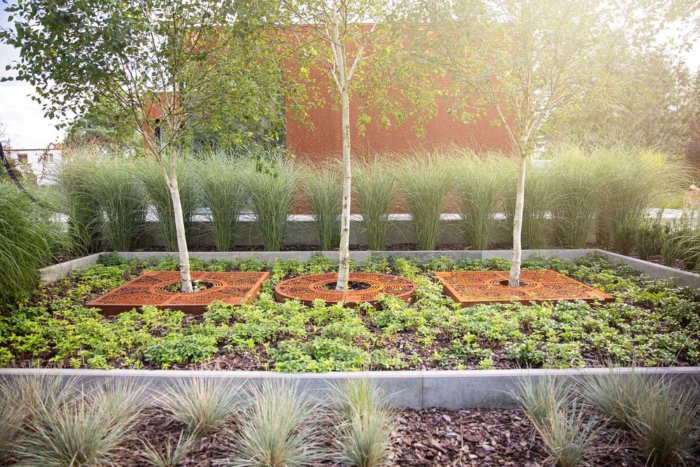 Obrzeże drzewa - obrzeża trawnikowe