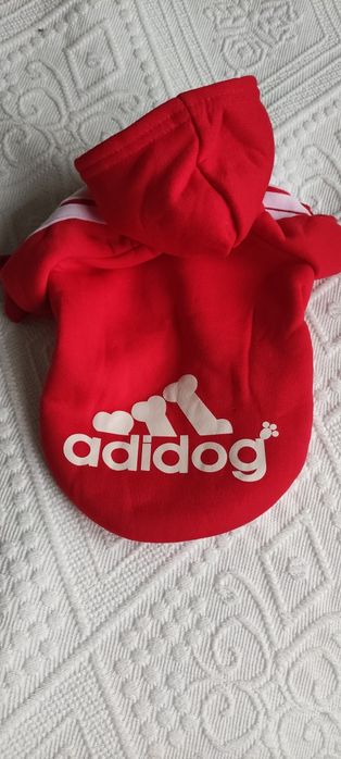 Ubranko dla psa bluza