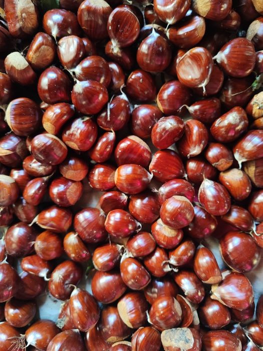 Castanhas Biológicas