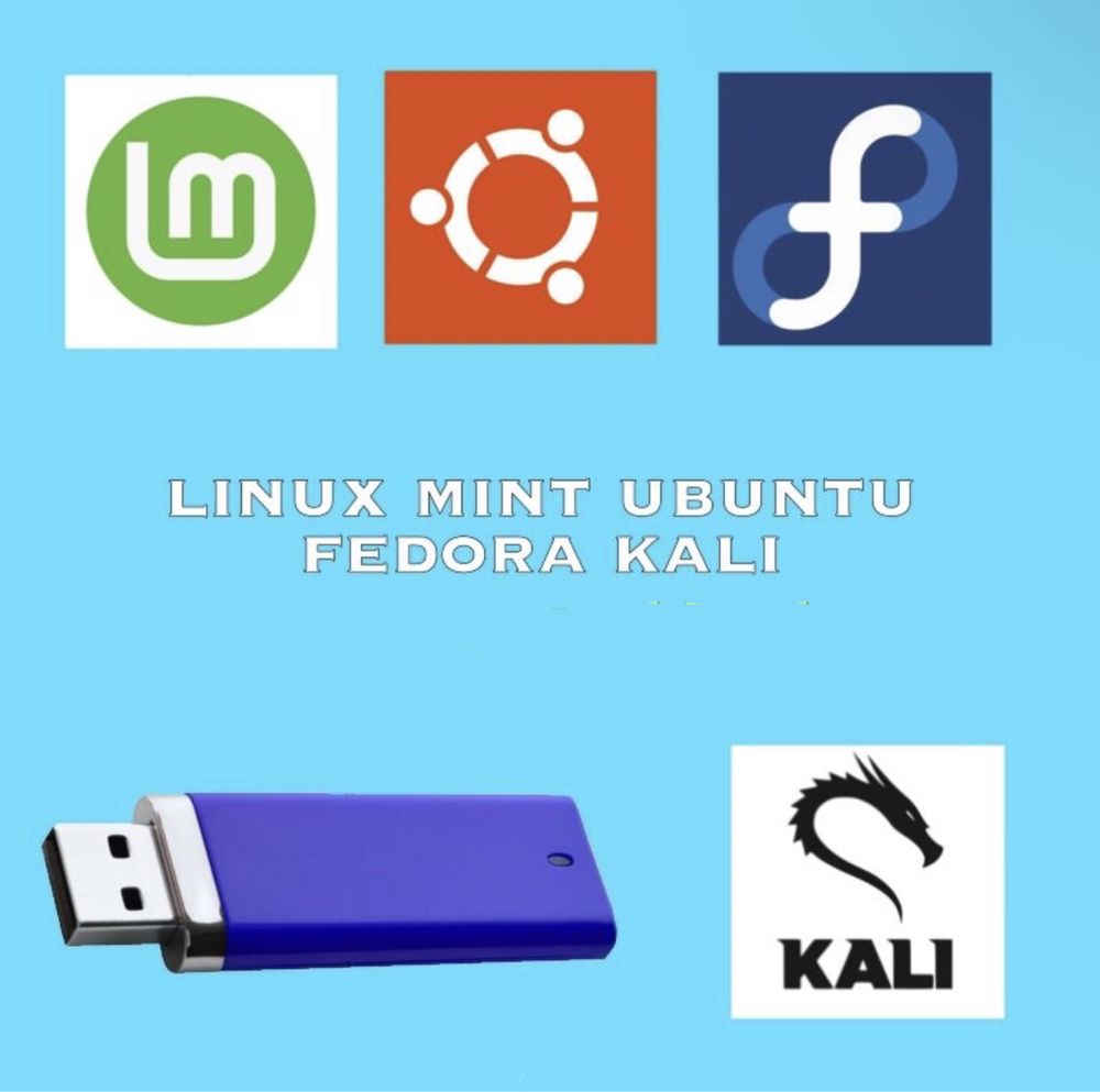 флешка, диск з потрібною вам os windows 7 8 8.1 10 11 linux