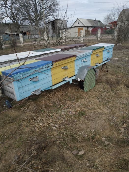 Причіп для бджіл.