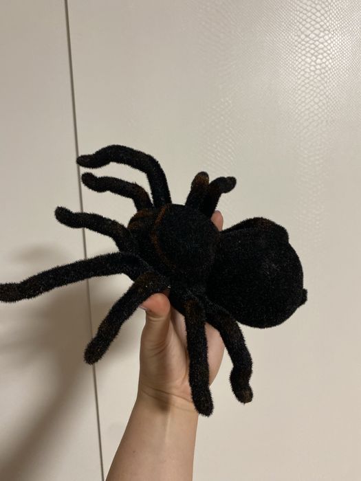 Павук на пульті керування