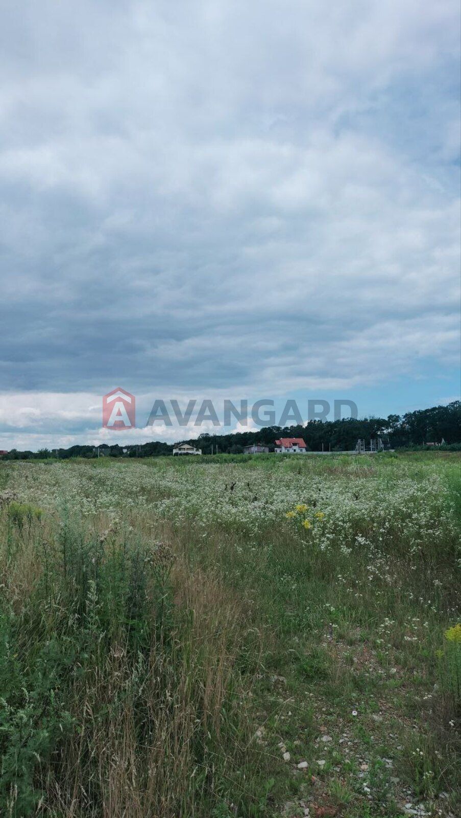 Продам земельну ділянку в с.Зимна Вода