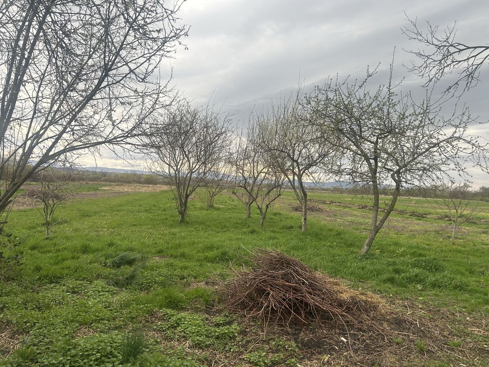 Продаж будинку в с. Зняцево , 20 км.від Ужгороду