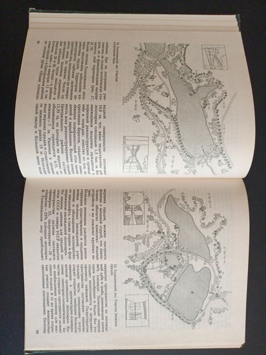 Проектирование современных загородных парков
