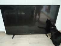 Telewizor LG 49UJ620V