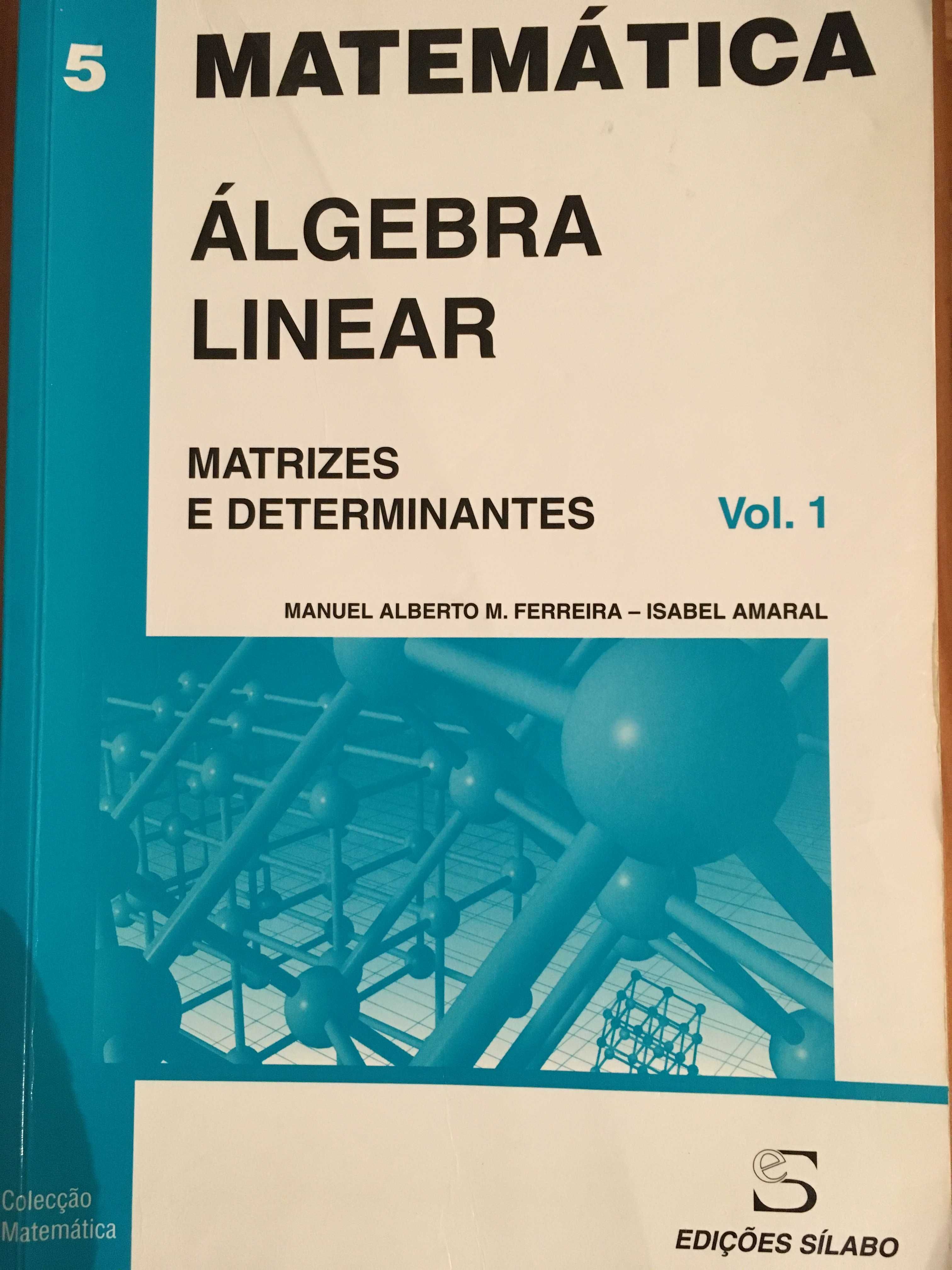 Álgebra Linear - Volume 1
Matrizes e Determinantes