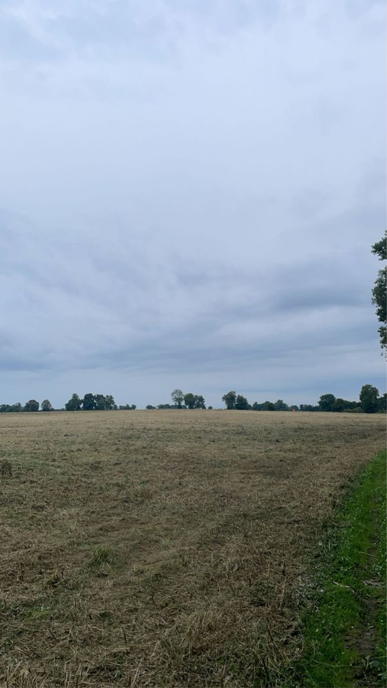 Koszenie łąk, traw, nieużytków