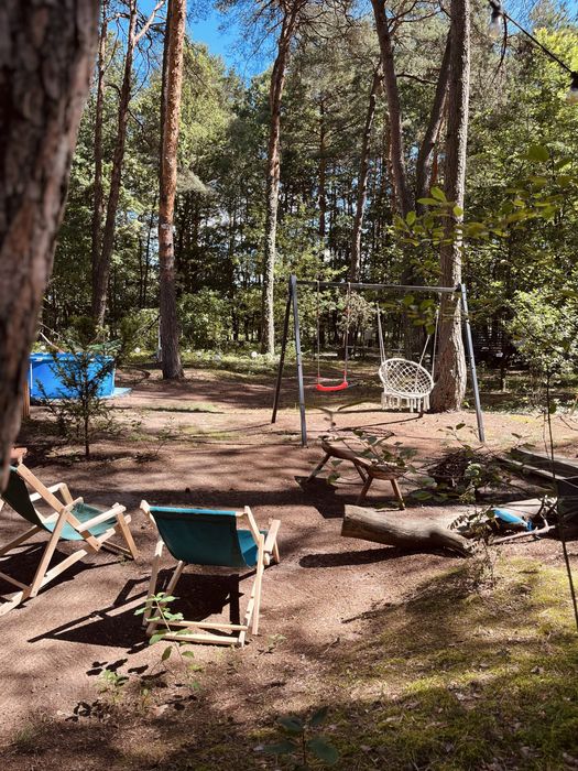Modułowy domek całoroczny na działce zalesionej blisko Warszawy