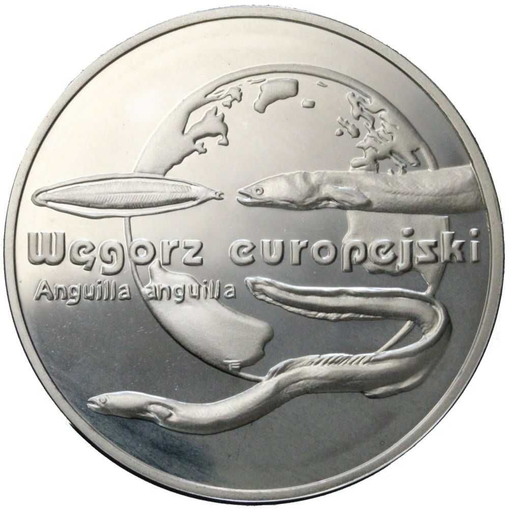 2003r. - 20 Złotych - Węgorz Europejski