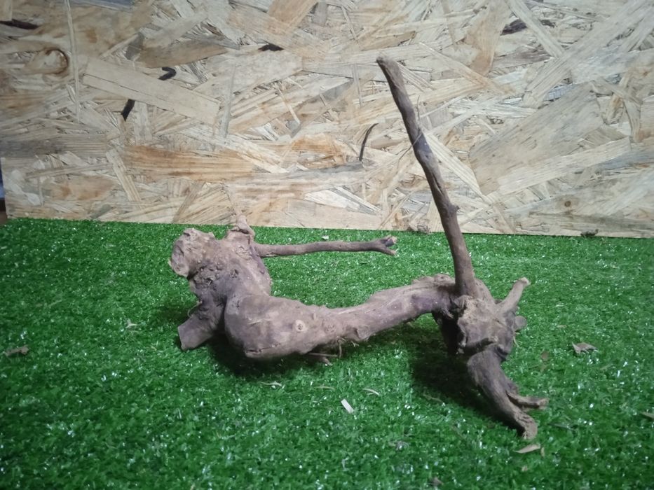 Korzeń do akwarium Red Moore Wood nr 738 o wymiarach 21/16/12