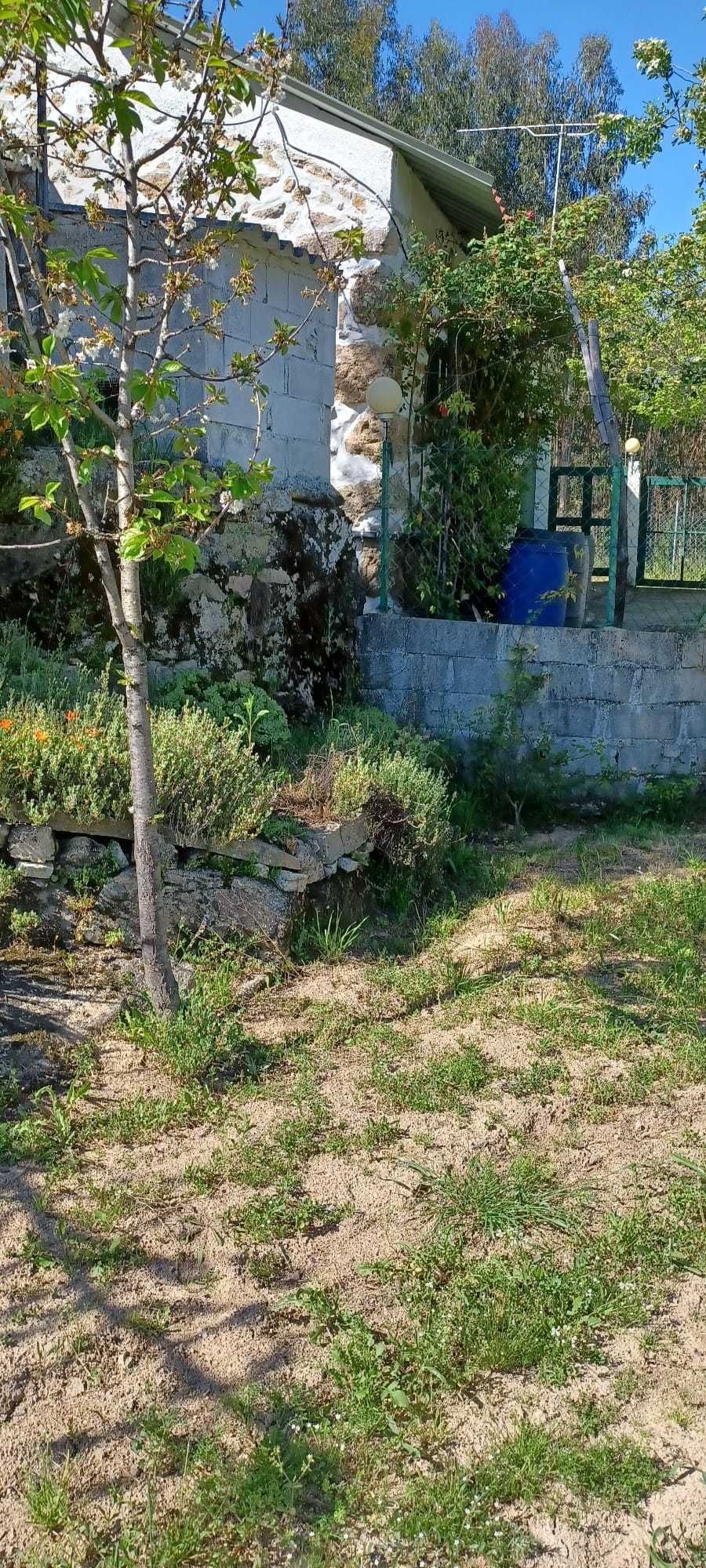 Quinta + Mata com vista para a Serra da Estrela