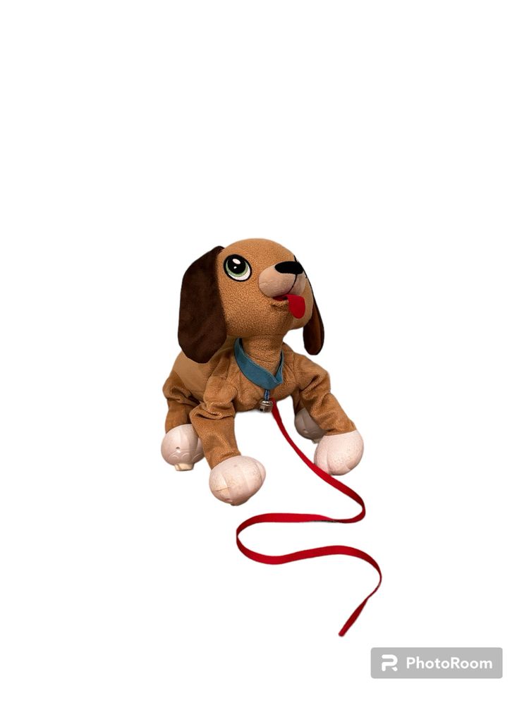 BOOGIE pies na smyczy zabawka