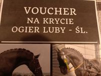 Voucher Ogier luby-śl.