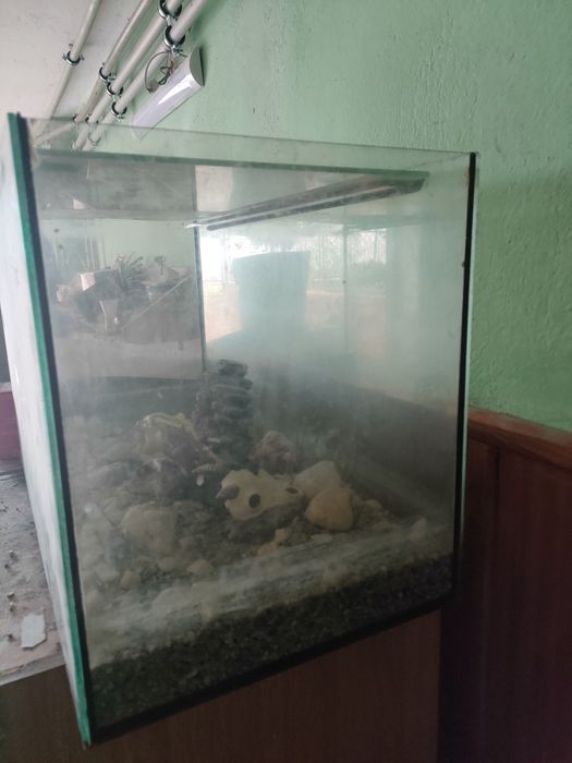 Na sprzedaż akwarium