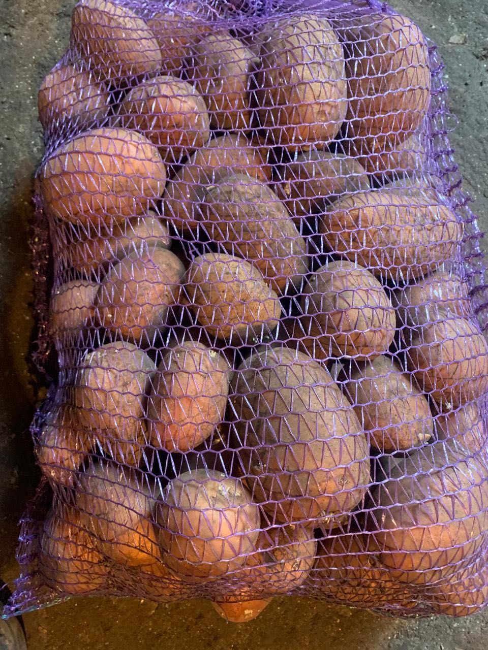 Продам велику смачну картоплю беллароза
по 10 грн. 300кг.