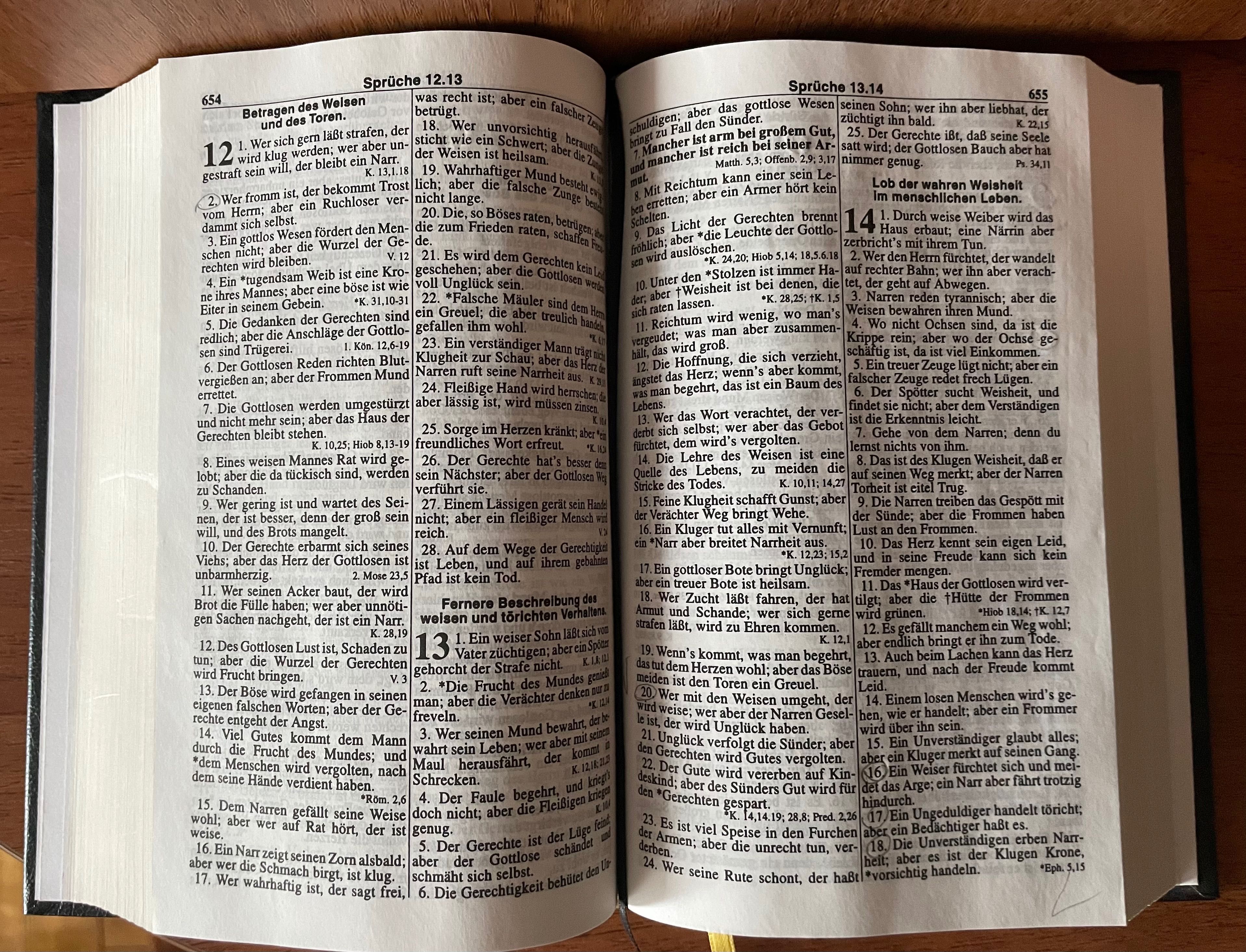 Біблія німецькою мовою, Bibel