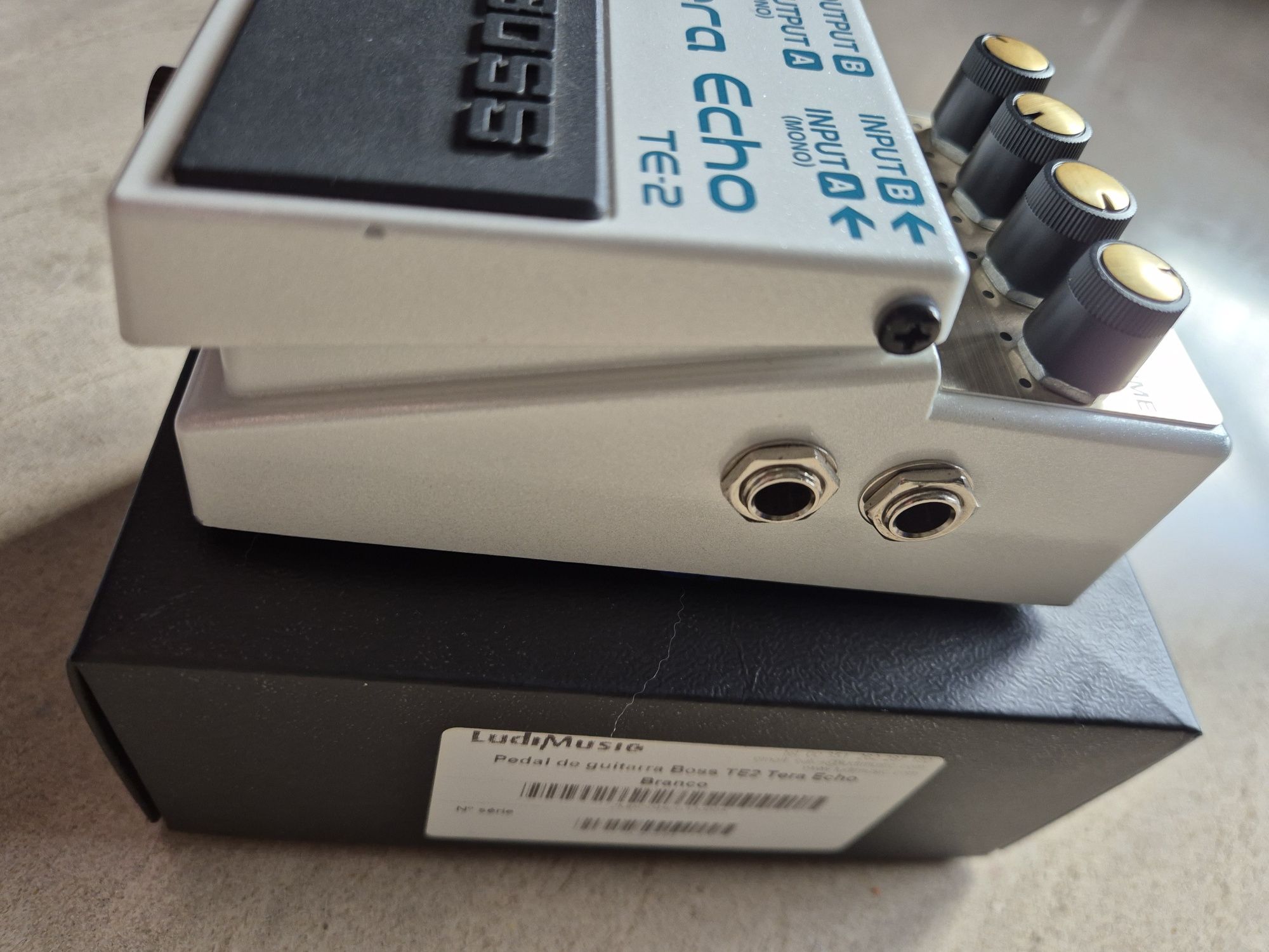 Boss Tera Echo TE-2