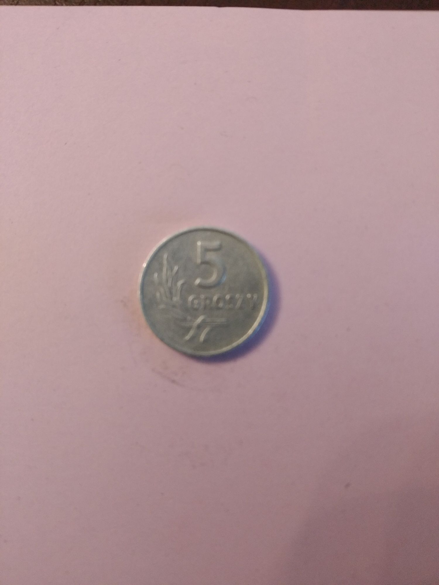 Moneta 5 groszy z 1960 r bzm